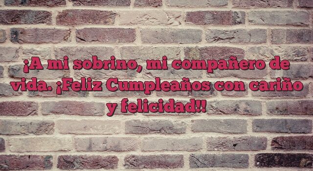 A mi sobrino, mi compañero de vida. ¡Feliz Cumpleaños con cariño y felicidad!