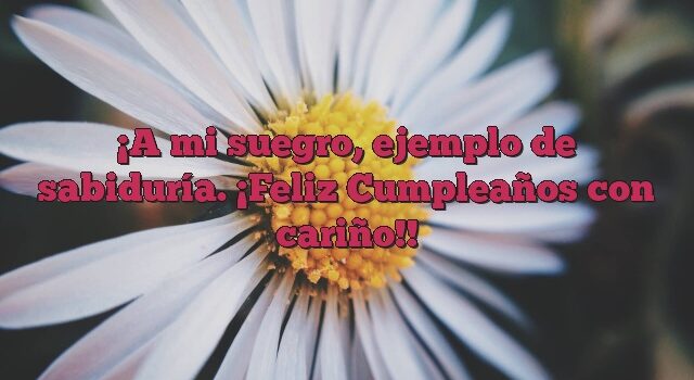 A mi suegro, ejemplo de sabiduría. ¡Feliz Cumpleaños con cariño!