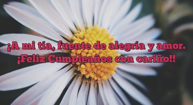 A mi tía, fuente de alegría y amor. ¡Feliz Cumpleaños con cariño!