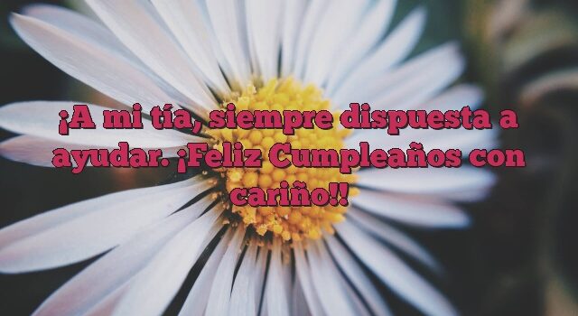 A mi tía, siempre dispuesta a ayudar. ¡Feliz Cumpleaños con cariño!