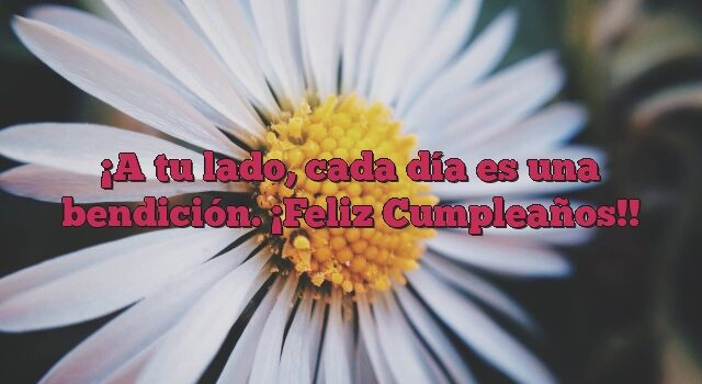 A tu lado, cada día es una bendición. ¡Feliz Cumpleaños!