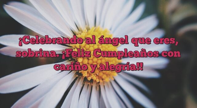 Celebrando al ángel que eres, sobrina. ¡Feliz Cumpleaños con cariño y alegría!