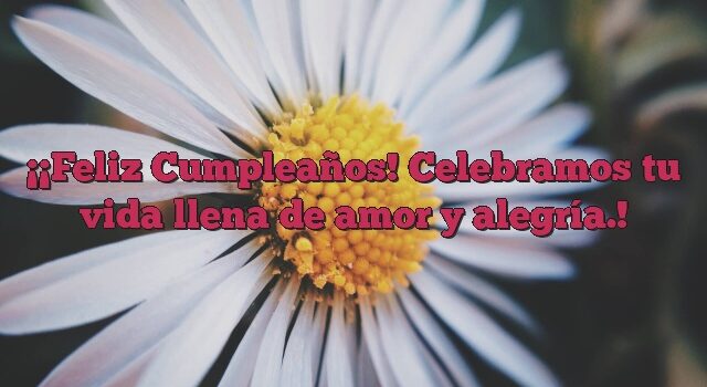 ¡Feliz Cumpleaños! Celebramos tu vida llena de amor y alegría.