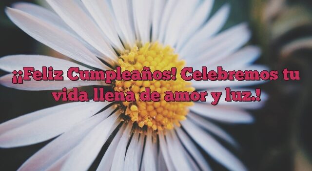 ¡Feliz Cumpleaños! Celebremos tu vida llena de amor y luz.