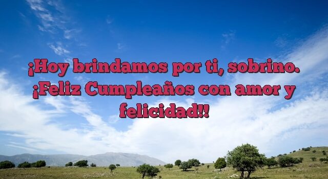 Hoy brindamos por ti, sobrino. ¡Feliz Cumpleaños con amor y felicidad!