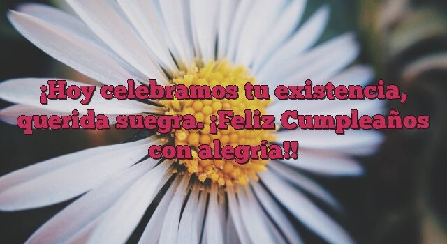 Hoy celebramos tu existencia, querida suegra. ¡Feliz Cumpleaños con alegría!