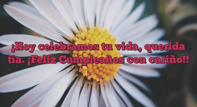 Hoy celebramos tu vida, querida tía. ¡Feliz Cumpleaños con cariño!