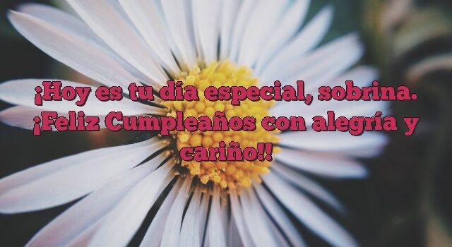 Hoy es tu día especial, sobrina. ¡Feliz Cumpleaños con alegría y cariño!