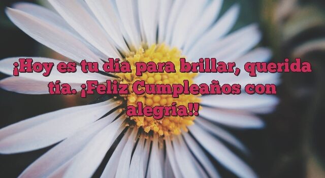 Hoy es tu día para brillar, querida tía. ¡Feliz Cumpleaños con alegría!