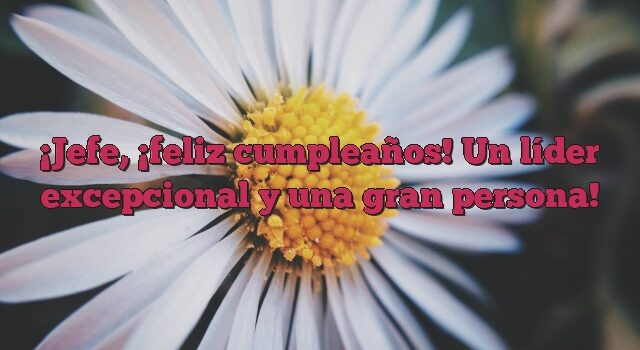 Jefe, ¡feliz cumpleaños! Un líder excepcional y una gran persona