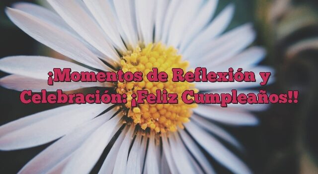 Momentos de Reflexión y Celebración: ¡Feliz Cumpleaños!