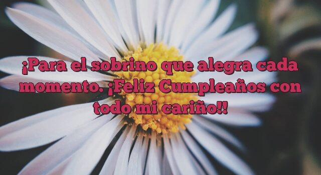 Para el sobrino que alegra cada momento. ¡Feliz Cumpleaños con todo mi cariño!