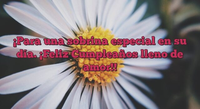 Para una sobrina especial en su día. ¡Feliz Cumpleaños lleno de amor!