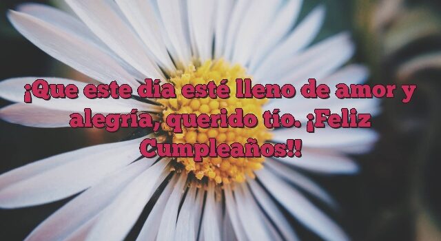 Que este día esté lleno de amor y alegría, querido tío. ¡Feliz Cumpleaños!