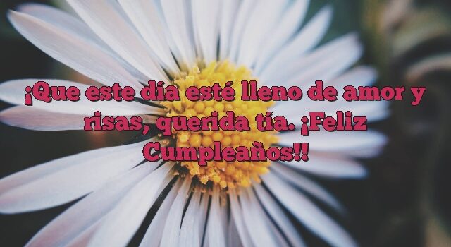 Que este día esté lleno de amor y risas, querida tía. ¡Feliz Cumpleaños!