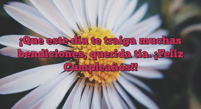 Que este día te traiga muchas bendiciones, querida tía. ¡Feliz Cumpleaños!