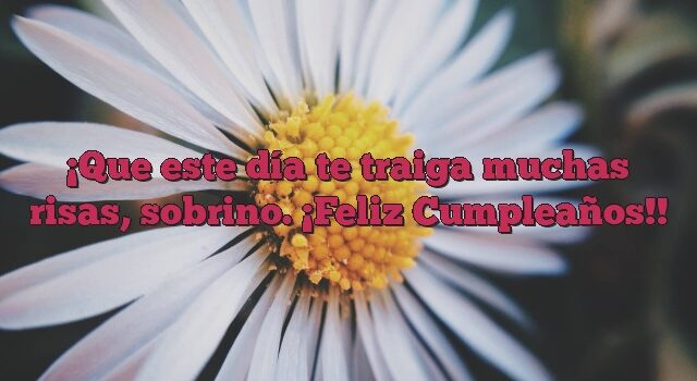 Que este día te traiga muchas risas, sobrino. ¡Feliz Cumpleaños!