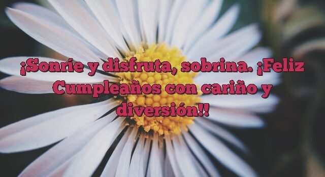 Sonríe y disfruta, sobrina. ¡Feliz Cumpleaños con cariño y diversión!