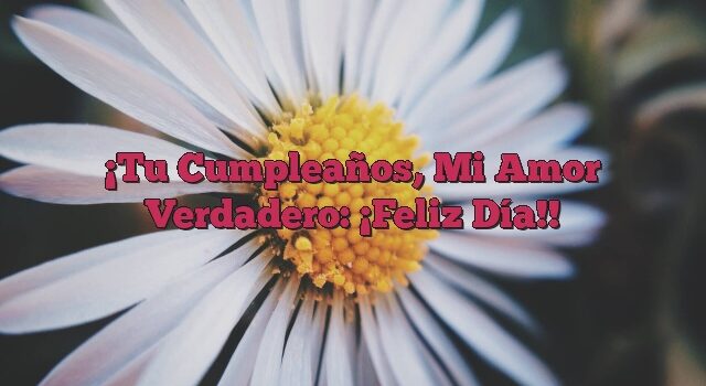 Tu Cumpleaños, Mi Amor Verdadero: ¡Feliz Día!